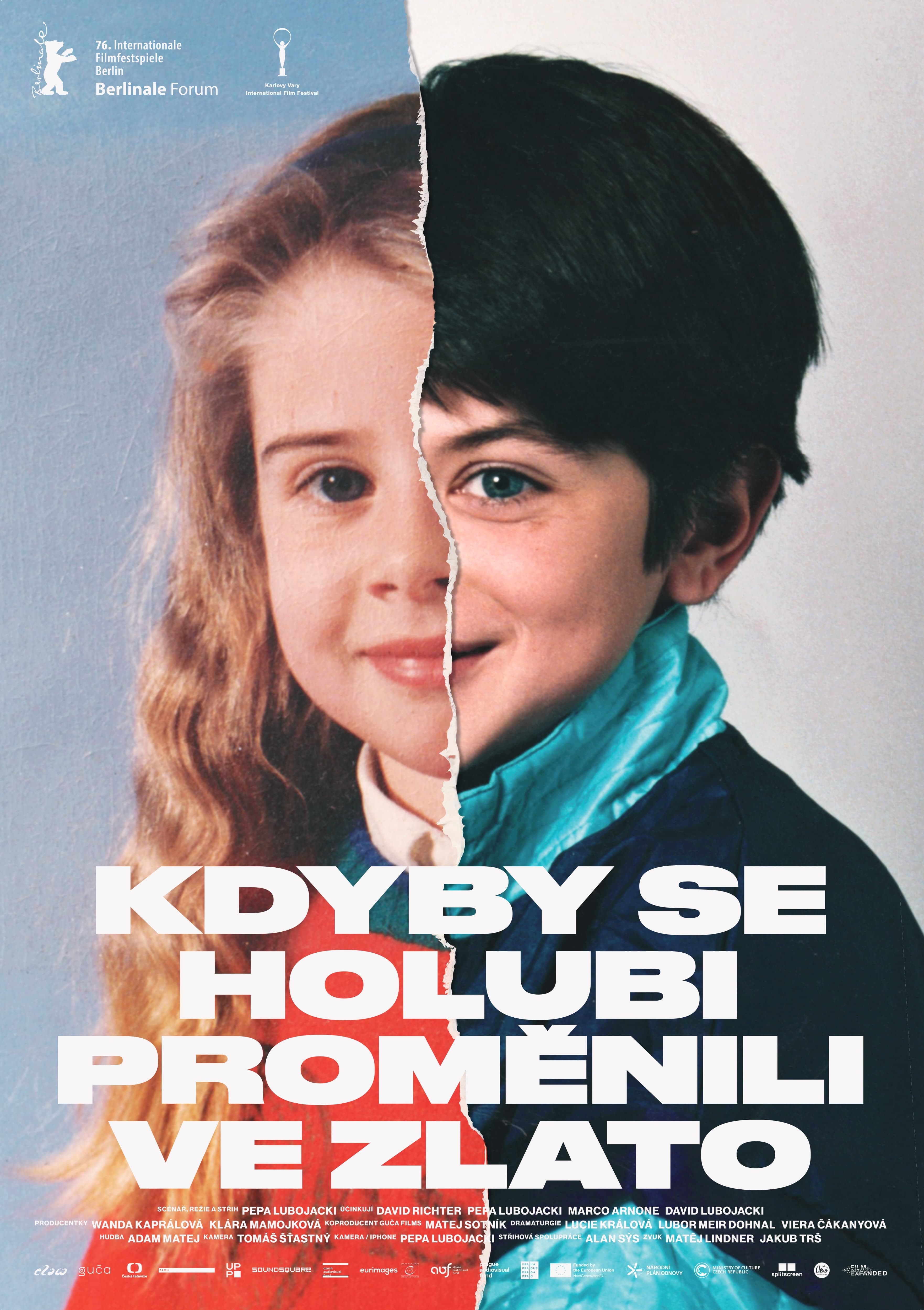 Kdyby se holubi proměnili ve zlato