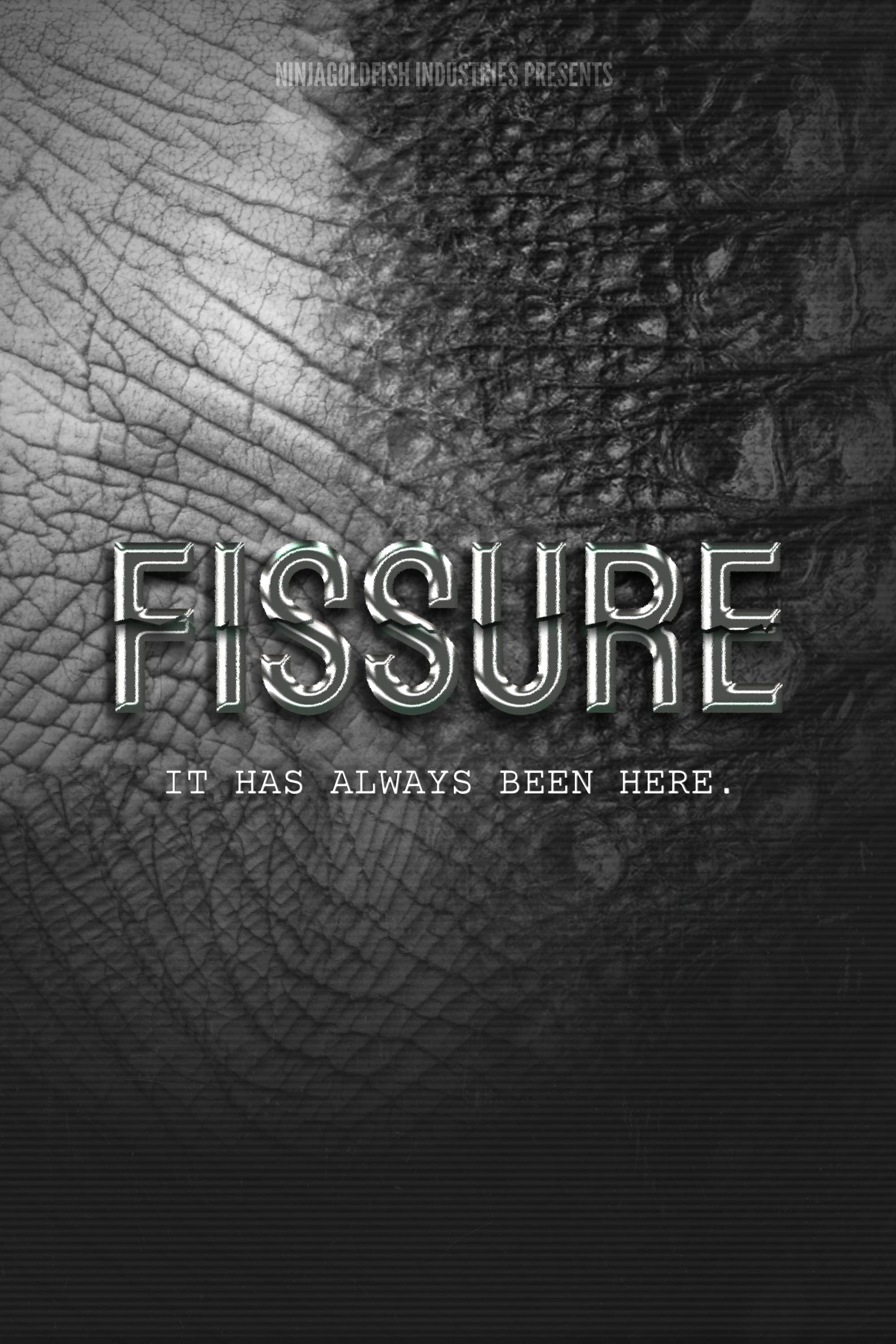 FISSURE