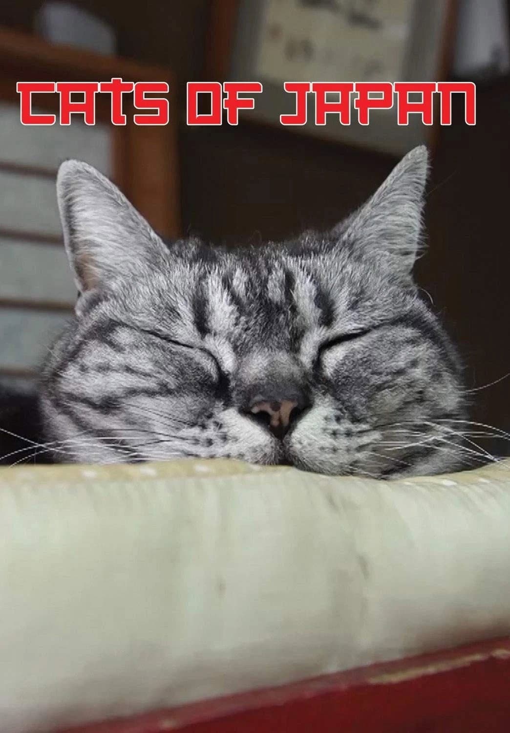 Cats of Japan