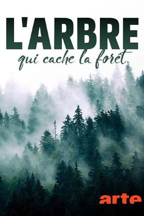 O stromech a lese