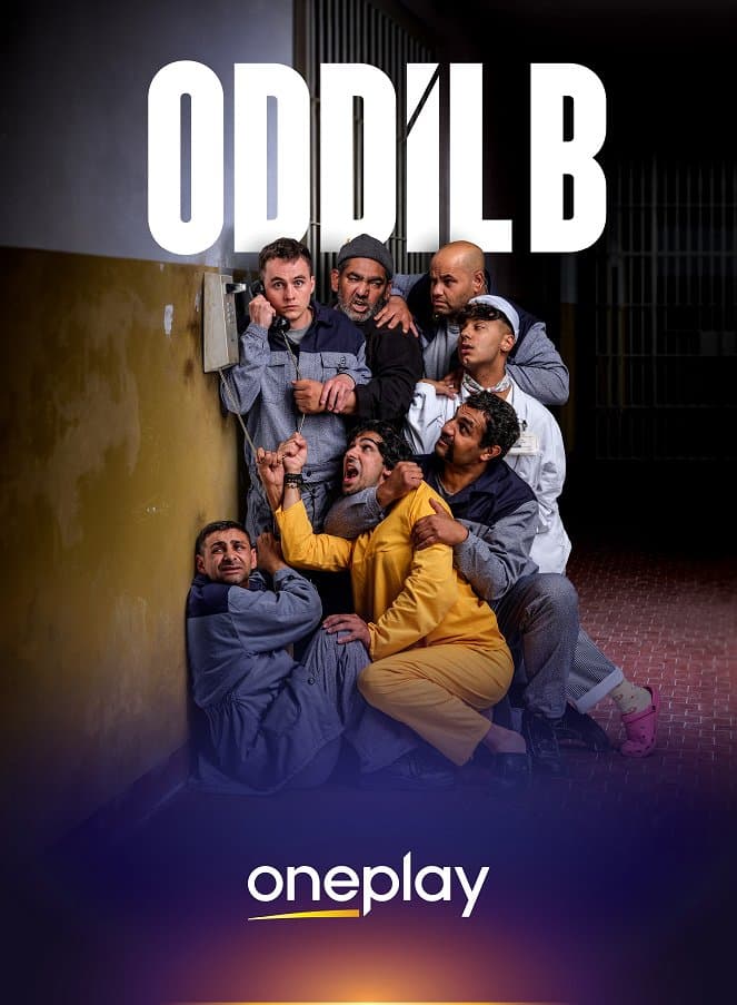 Oddíl B