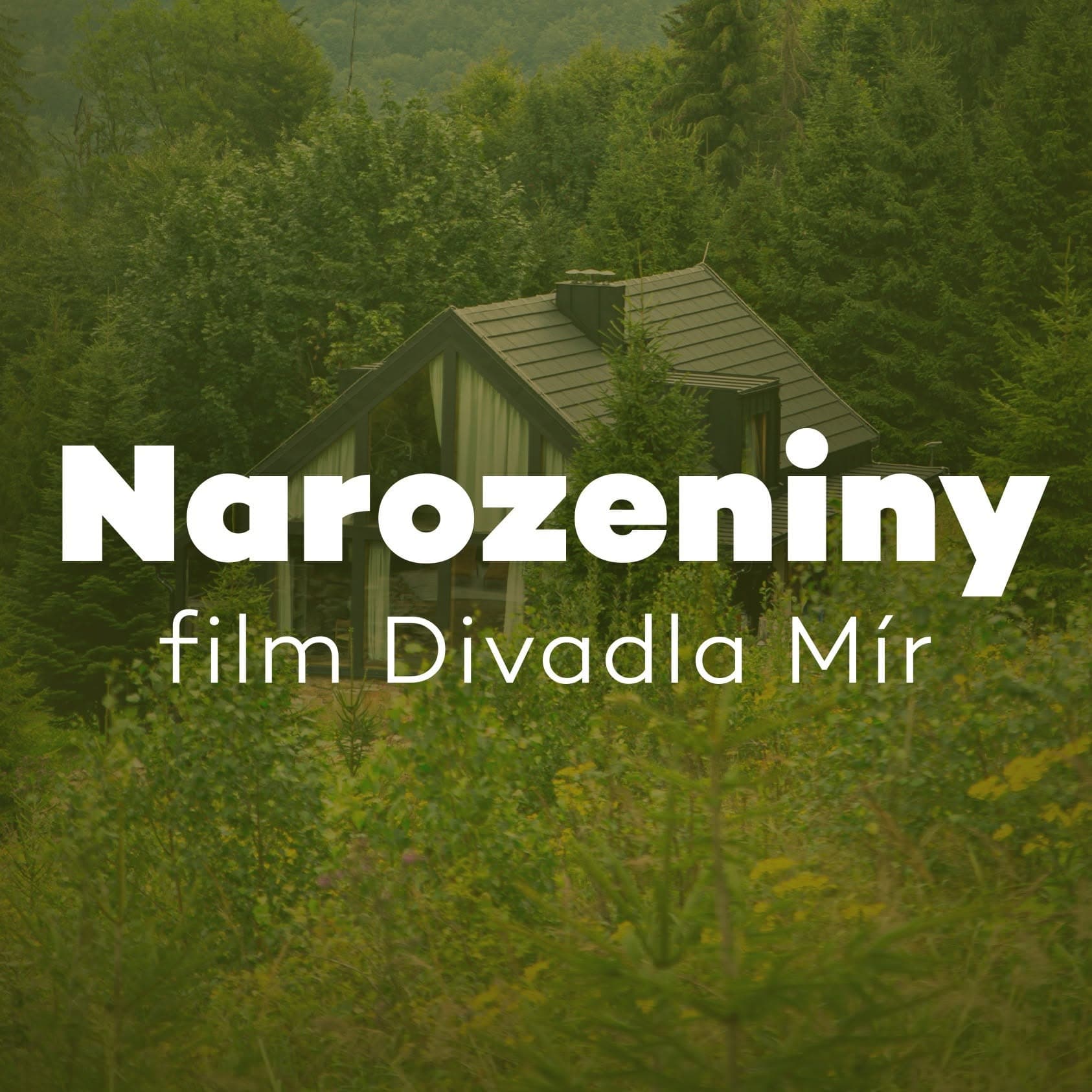 Narozeniny