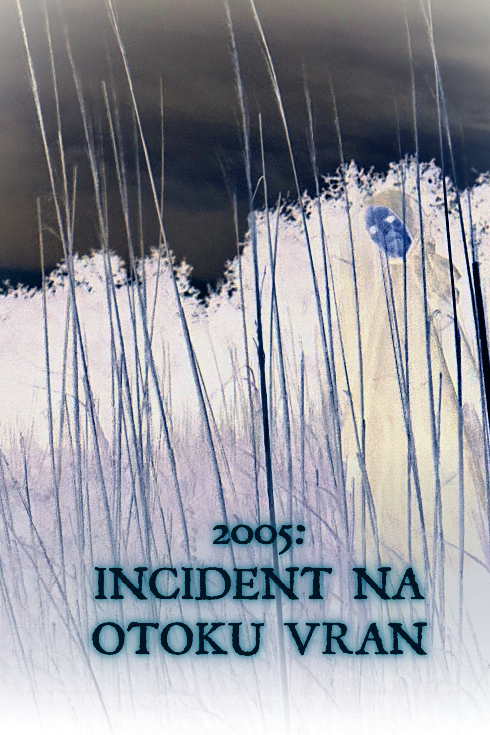 2005: Incident na otoku Vran
