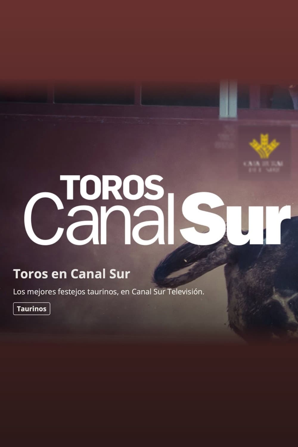 Toros Canal Sur