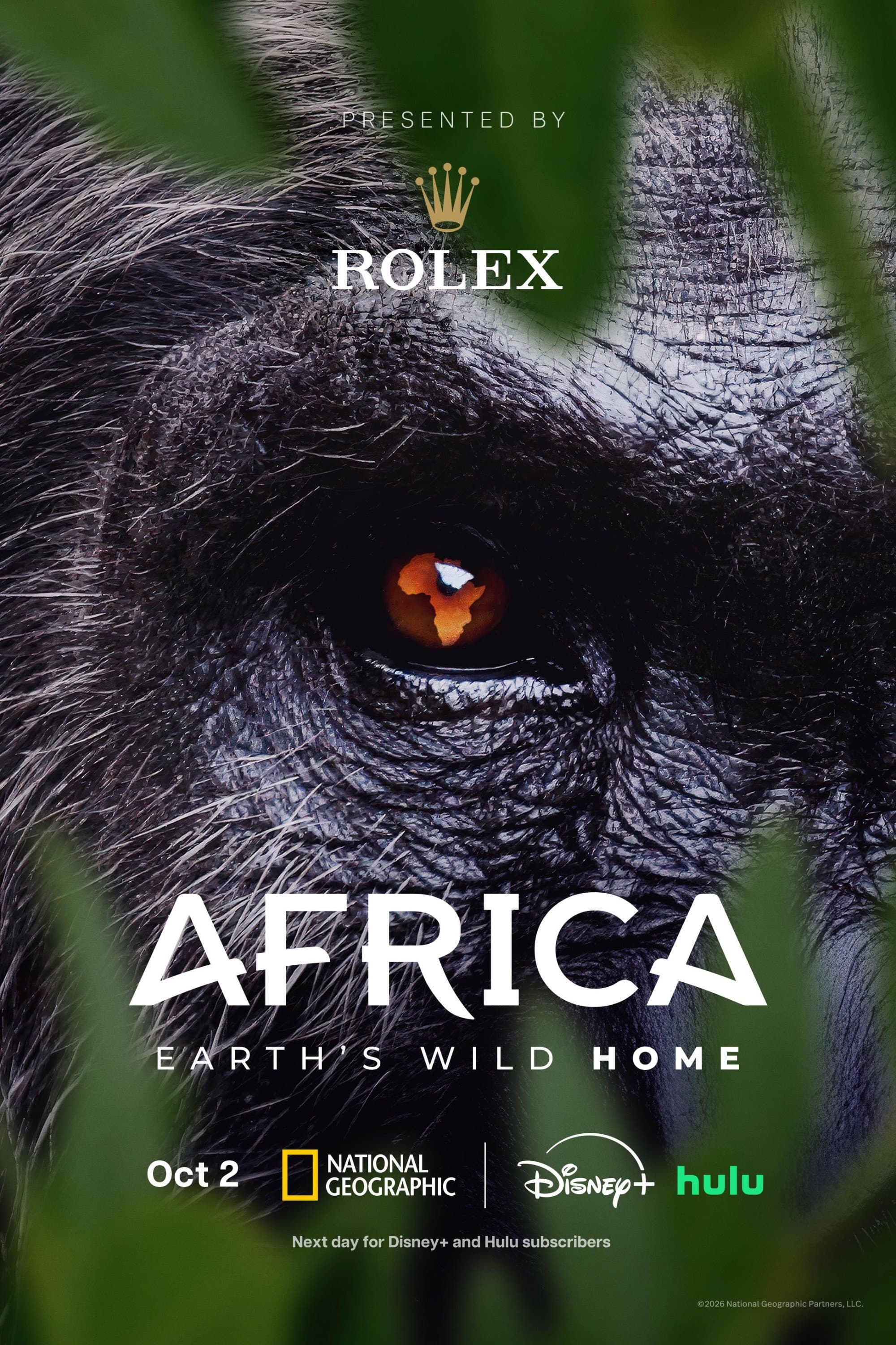 Afrika: Domov divoké přírody