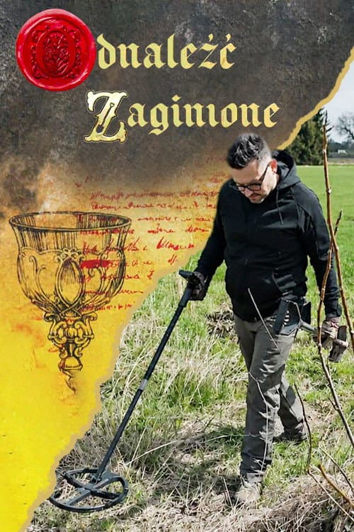 Odnaleźć zaginione