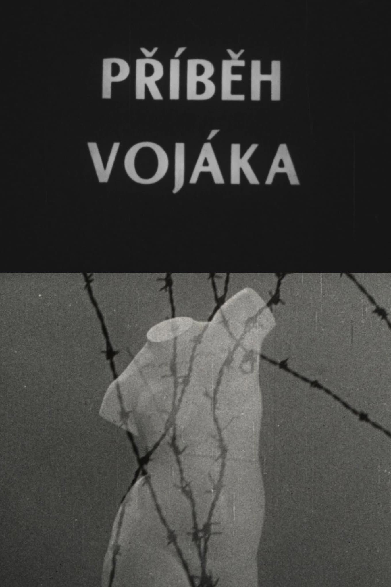 Příběh vojáka