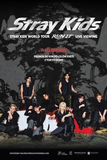Stray Kids World Tour ＜RUN IT＞ LIVE VIEWING