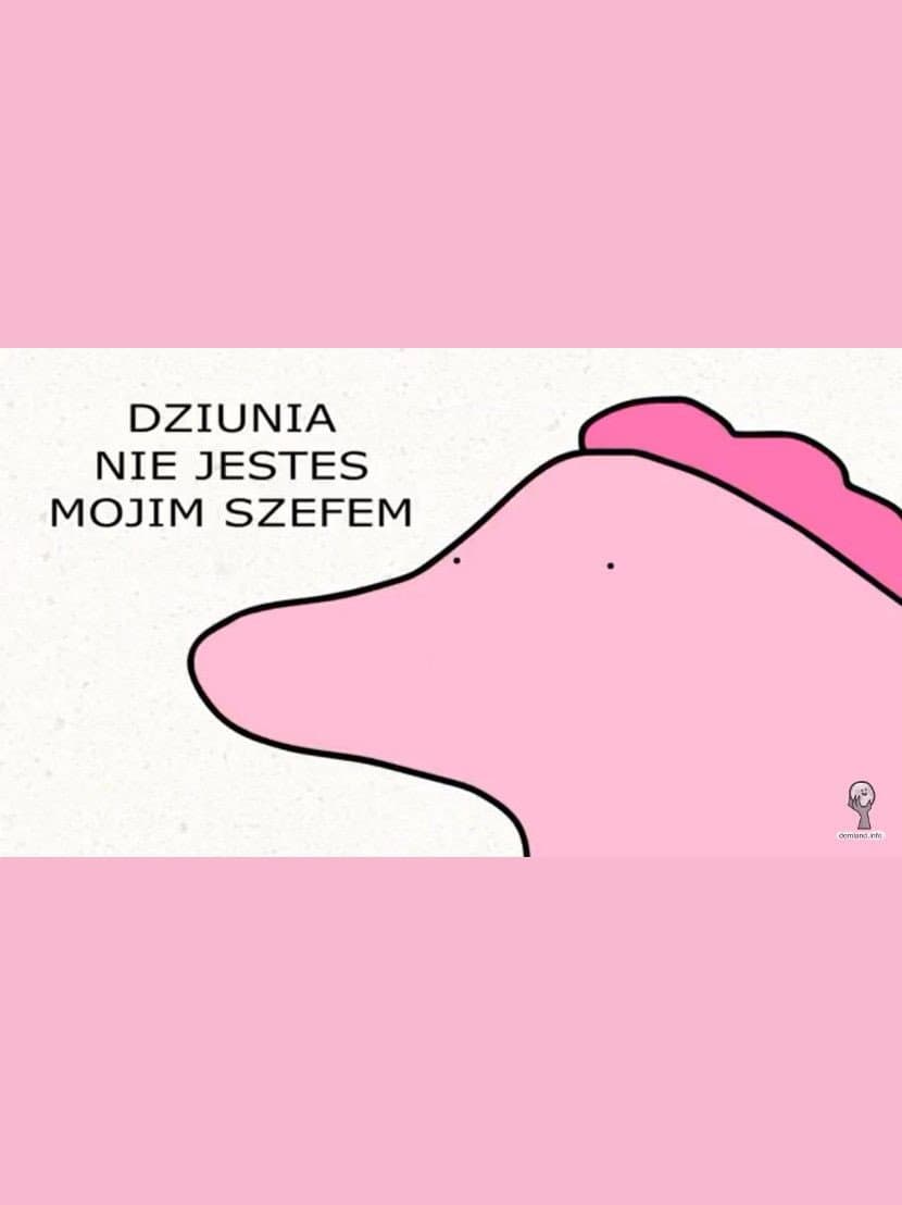 Kuce z Bronksu