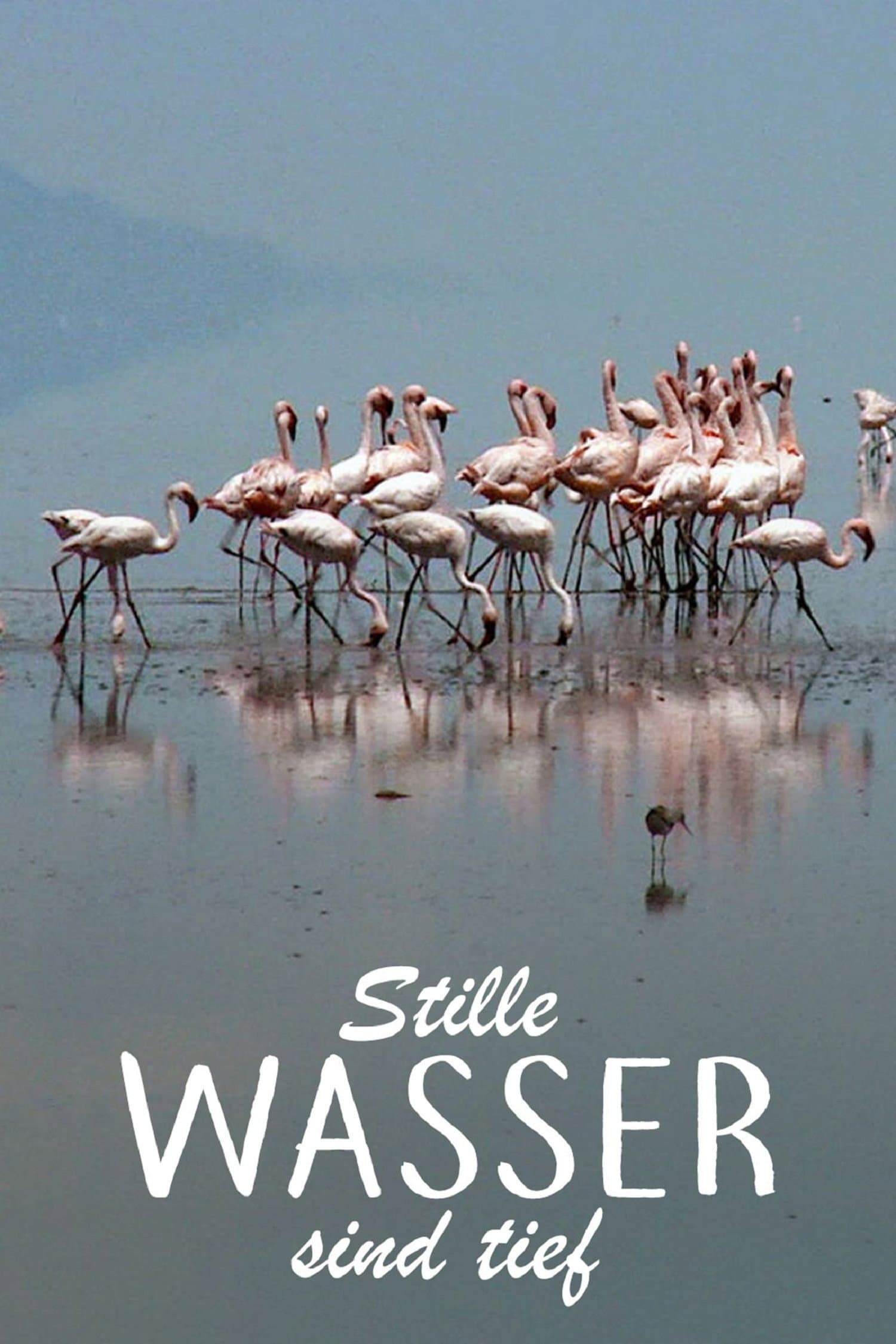 Stille Wasser