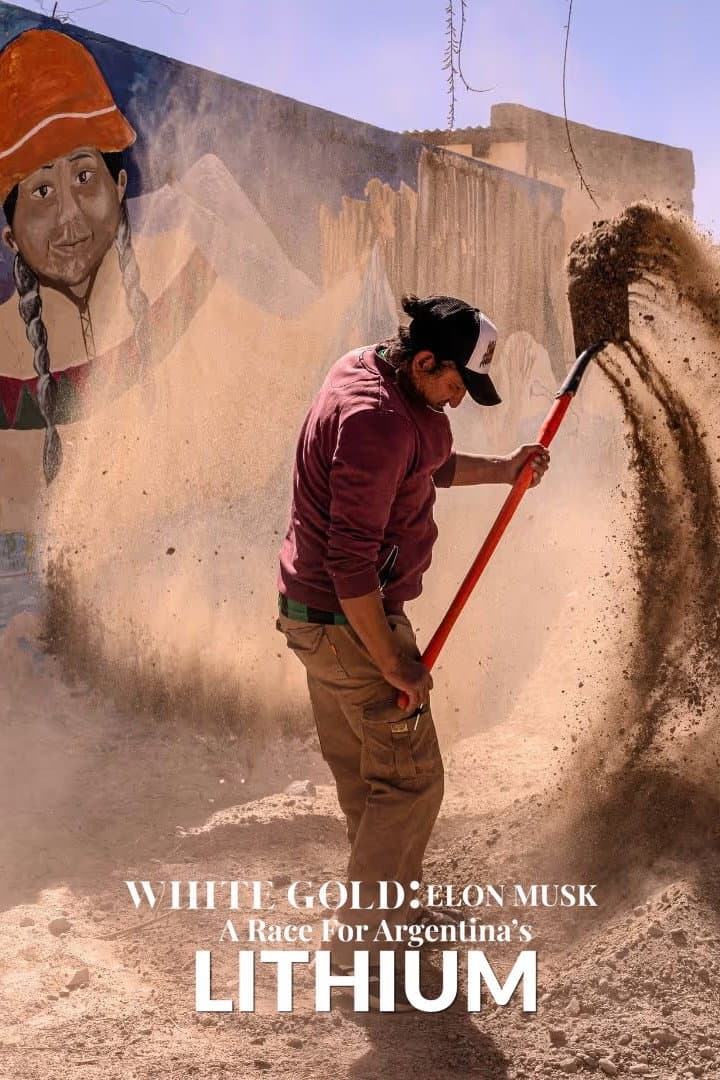 White Gold: Elon Musk and the Race for Argentinas Lithium