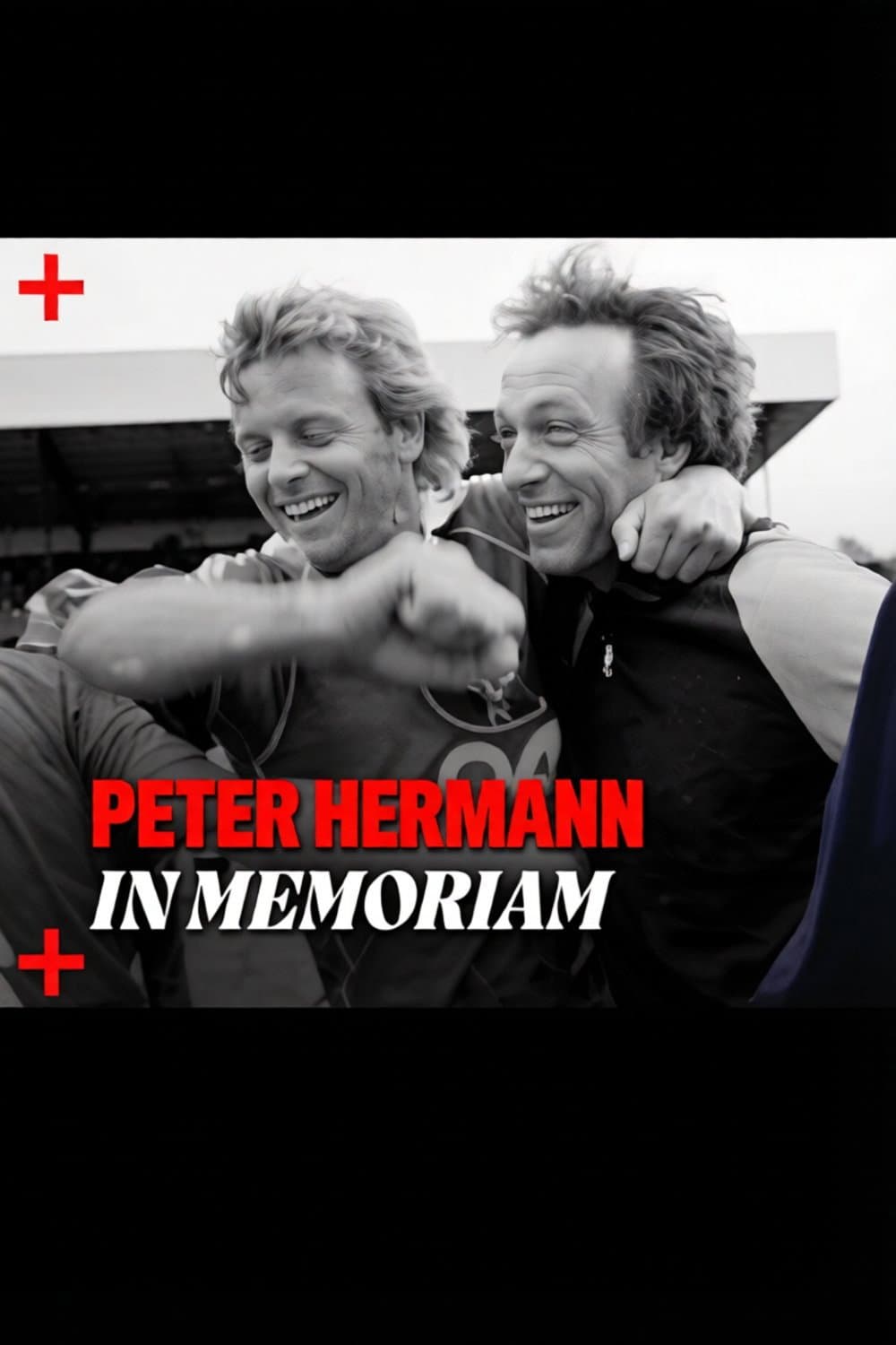 In Memoriam Peter Hermann