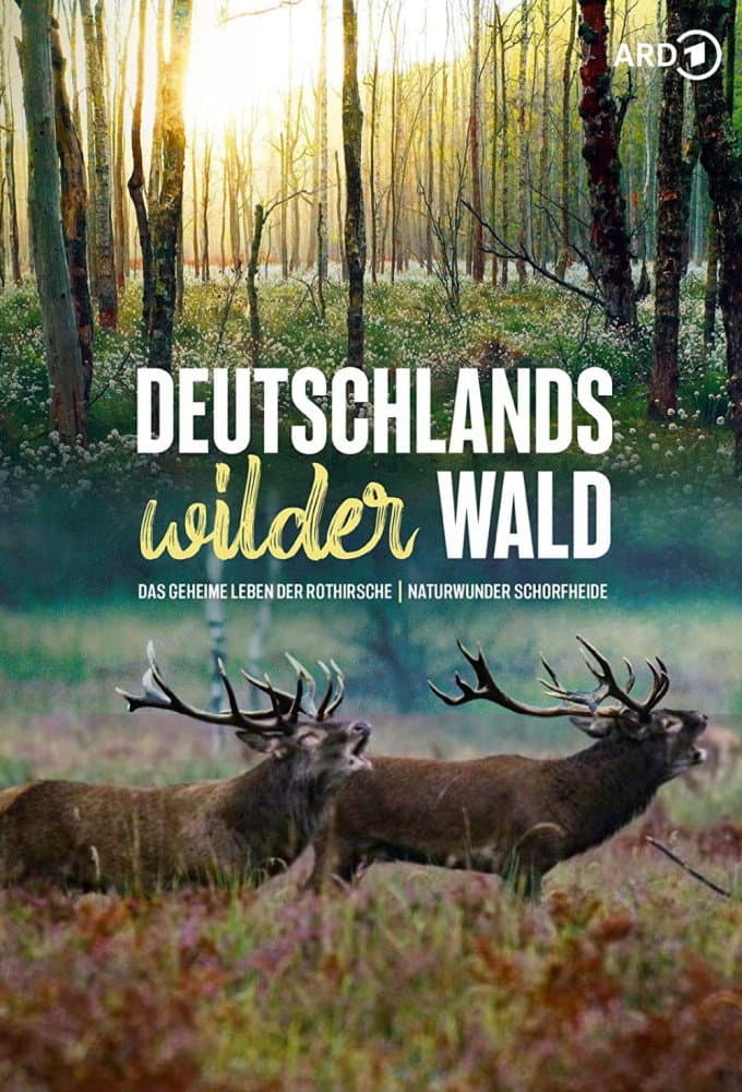 Deutschlands wilder Wald